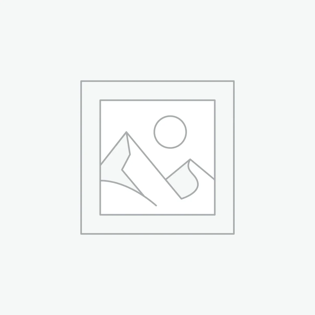 Masterstudy WordPress